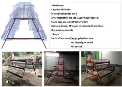 China Galvanized 3 Tier Chicken Cage D Type A Type Layer Cage 96birds for sale