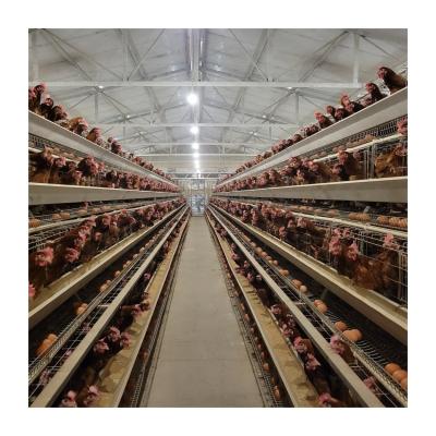 China 1 Year Guarantee Layer Chicken Cage Automatic Drinker For Hassle Free Farming for sale