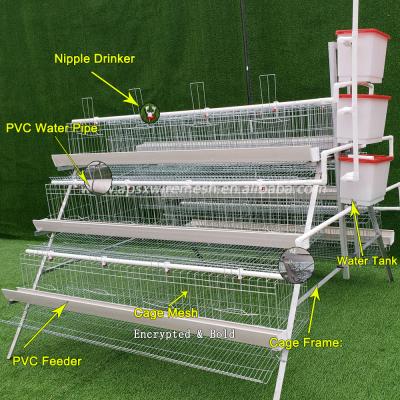 China Hot Galvanized Wire Mesh Layer Chicken Cage Poultry Egg 96 for sale