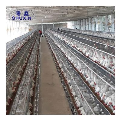 China Animal Hdg Battery Cages For Laying Hens Poultry Farm Equipment for sale