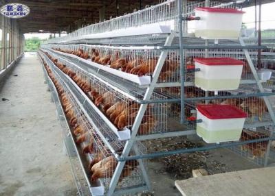 China 4 Tiers 128 Birds Layer Chicken Cage Galvanized Poultry Farm For Hens for sale