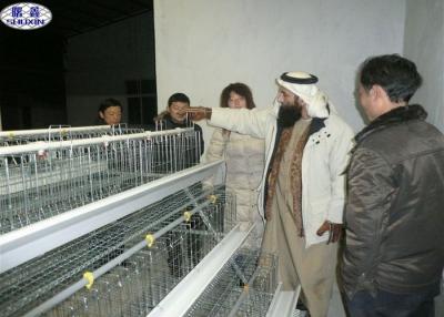 China Capacidad de los pájaros de la jaula 120 del polluelo que se alza fuerte en la certificación del SGS de Kenia en venta