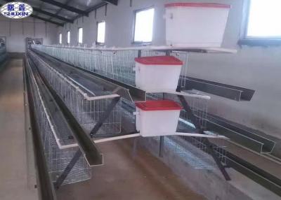 China Capacity 128 Egg 4 Door Layer Chicken Cage Poultry Equipment Hot Galvanized for sale