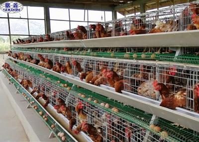 China Galvanized Egg Layer Chicken Cage / Egg Laying Hens Farm 3 Years Warranty for sale