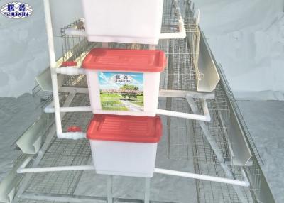 Κίνα Αυτόματο σύστημα Eco κατανάλωσης αγροτικών κλουβιών κοτόπουλου καλλιέργειας πουλερικών - φιλικό προς πώληση