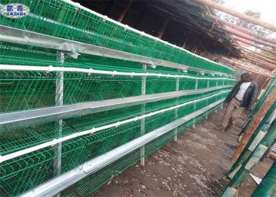 China A Type Layer Chicken Cage / Battery Cage System Poultry Farming for sale