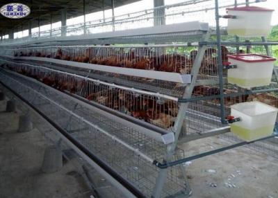 China Durable Poultry Chicken Cages , Automated Poultry Cages CE Certification for sale