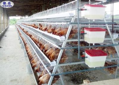 China Galvanized Battery Layer Cage Anti - Rust Feature Easy Installation for sale
