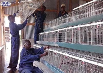Chine Cages faites sur commande de poulet de volaille/cadre en acier d'intérieur de fer d'angle de cage de poulet à vendre