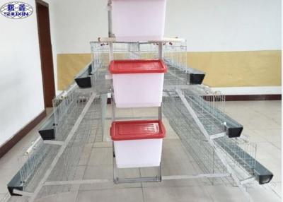 China Indoor Poultry Chicken Cages, Meat Chicken Cages Galvanized Surface for sale