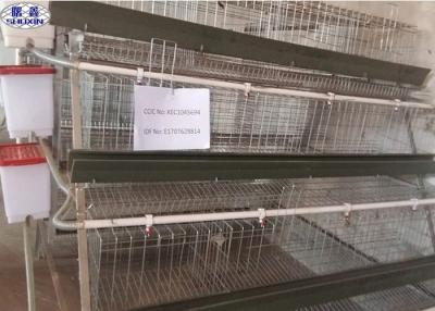 China Galvanized Chicken Breeding Cages Easy Installation 20 Years Life Duration for sale