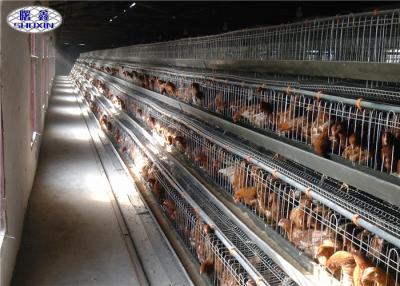 Chine Un type poulet de volaille met en cage la capacité galvanisée électrique de poulet de la surface 120 à vendre