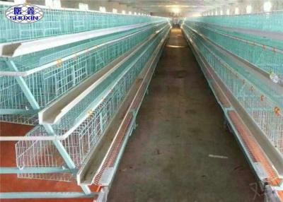 China Full Automatic Layer Chicken Cage , Commercial Chicken Cages In Philippines for sale