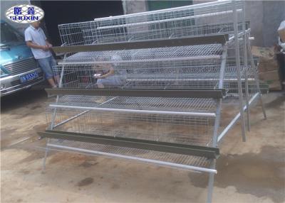 China Durable A Type Wire Poultry Cages For Zimbabwe Farm 360 Degree Drinking for sale