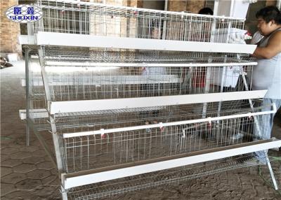 China Tres gradas acodan la jaula/5 células del pollo que las aves de corral Egg jaulas de la capa 120 pájaros en venta