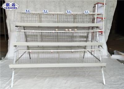 China Galvanized Layer Chicken Cage , 3 Tiers Egg Laying Cages 24 Nests for sale