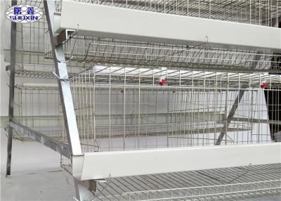 China 3 Tiers Chicken Layer Battery Cage For Egg Laying Chicken Poultry Farm for sale