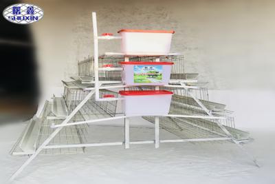 China Servicio galvanizado jaula sumergido caliente del OEM de la tecnología de la granja avícola de 4 gradas en venta