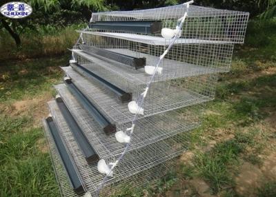 China A Type Quail Battery Cages 6 Tiers Two Sides 800 Quails Capacity for sale
