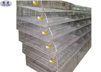 China Welded Mesh Quail Laying Cage / Quail Poultry Layer Cages CE Certification for sale