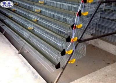 China Tamaño modificado para requisitos particulares diseño con pilas automático de las jaulas de colocación de huevo de codornices en venta