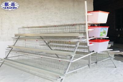 China Small Poultry Chicken Cages , Poultry Farm Layer Cage Fast Delivery for sale