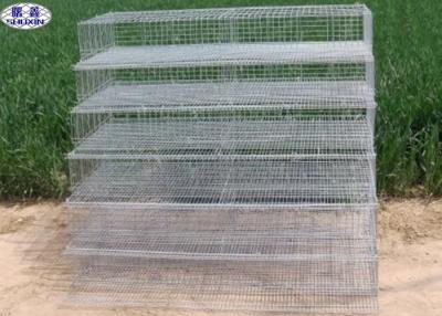 China Metal Quail Breeding Cages 15 Years Lifetime with 3 Years Warranty for sale