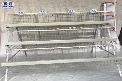China 3 Tiers 4 Tiers Poultry Battery Cage 96 Birds 128 Birds Customized Service for sale