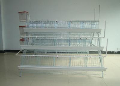 Chine Cages de batterie de volaille de cages de pondeuses de garantie de 10 ans pour la ferme du Kenya à vendre