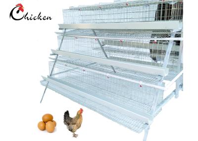 China Jaula galvanizada de la capa de la granja avícola para el sistema auto del bebedor de Bangladesh en venta