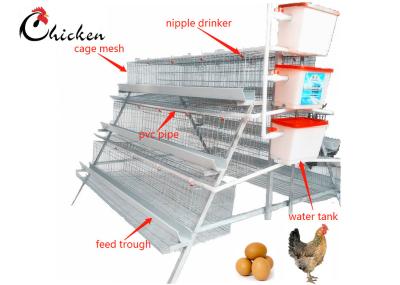 China Automatic Chicken Layer Battery Cage , Q235 Steel Modern Chicken Cages for sale