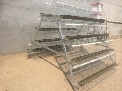 China A Type 128 Capacity Dimension Chicken Layer Cage Galvanized Q235 Material for sale