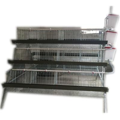 China Chicken / Broiler Cage Factory Layer Cage , Farm Chicken Breeding Cages for sale