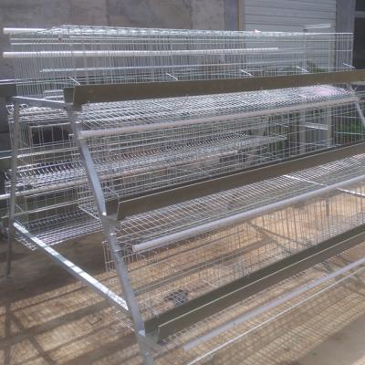 China PVC Trough 96 128 160 Poultry Egg Layer Cages / Poultry Farm Cage Easy Install for sale