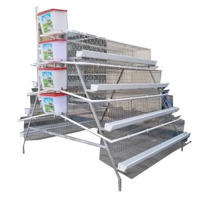China Type A Design Poultry Farm Cage , Poultry Egg Layer Cages For Laying Hens Ghana Farm for sale