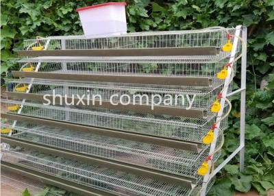China A Type Galvanized Steel Automatic Quail Birds Cages , Quail Breeding Cages 6 Tiers for sale