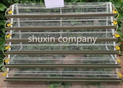 China Wire Mesh Layer Commercial Quail Cage For Quail Farming 1.8m Length for sale