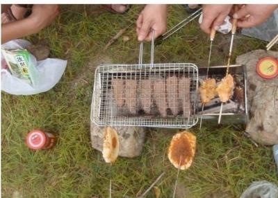 Cina Rete metallica portatile della griglia del barbecue, reticolato all'aperto della griglia del barbecue per il pesce dell'arrosto in vendita