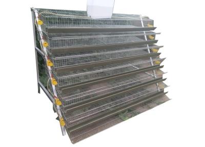 China Mitad de un tipo jaulas de colocación de las codornices del alambre de la jaula de la granja de las codornices para el cultivo de las codornices en venta