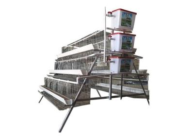 China 160 Birds A Type Poultry Chicken Cages For Poultry Farming Laying Hens for sale
