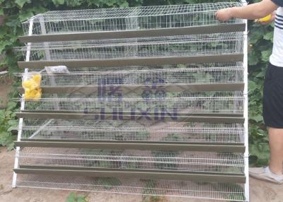 China A Type Mesh Layer Quail Bird Cage Of Low Carbon Steel Wire With Sand Cup for sale