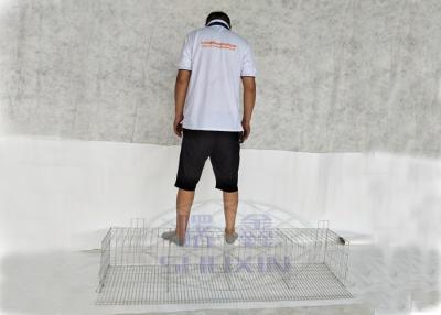 China 1.8x2.4x1.95m Poultry A Type Layer Cages For Laying Hens for sale