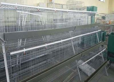 Chine Oiseaux des oeufs 96 d'aviculture de Q 235	 Type cage de H de poulet à vendre