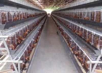 China Automatic System Q235 4 Tiers Layer Chicken Cage For Farm for sale