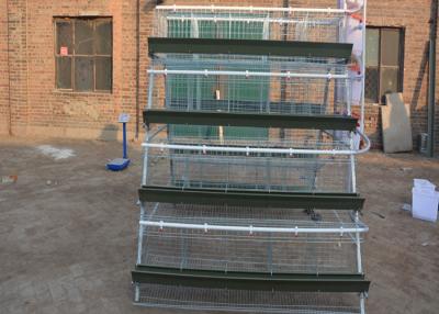 China Hens Galvanized Layer Battery Poultry Chicken Cages For Sale In Philippines for sale