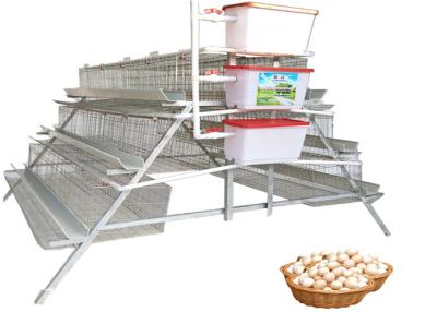 China 160 Birds Distributor Poultry Chicken Cages With Nipple Drinker for sale