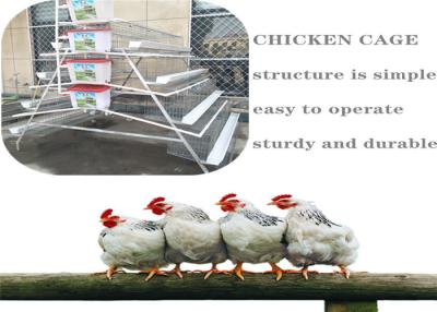 China 5 Tiers Farming Q235 Chicken Breeding Cage for sale