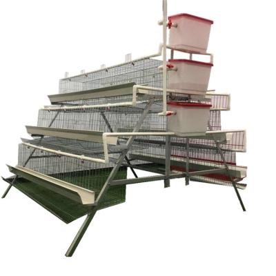 China HDG Automatic A Type Chicken Layer Cage For Poultry Farm for sale