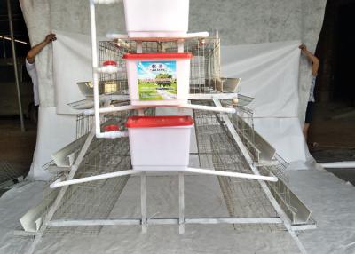 China Automatic Drinker Broiler Chicken Cages Multi Functional And Practical for sale