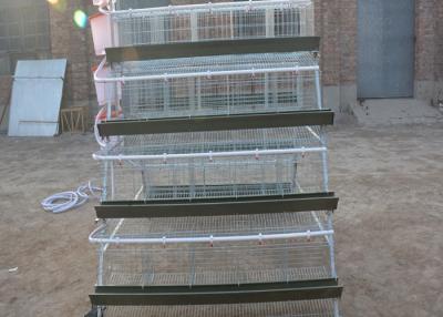 China Animal Galvanized Poultry Farming Layer Chicken Cage for sale